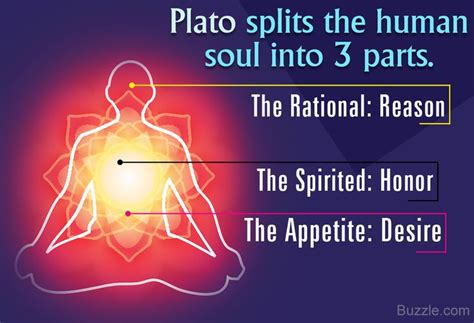 Parts of the soul according to plato